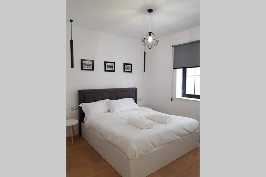 Lina -Tia Lovely New Bazaar Apartment 地拉那 外观 照片